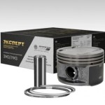 Поршни Газ ДВС-421 100,0 В (+ палец + поршневые кольца) (Black Edition) Моторкомплект
